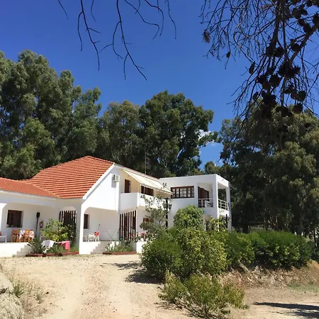 Vigla Σπαρτιά
