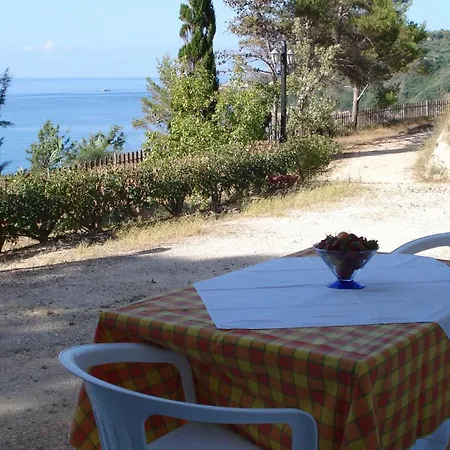 Vigla Σπαρτιά